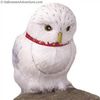 Pet-Pet: Hedwig