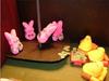 a peep show!