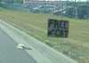 Free cat!!