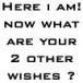 2 other wishes?