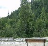 A Quiet Forest Bench