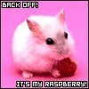 My Raspberry!