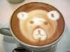 bear coffee