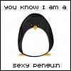 Sexy Peguin