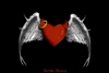 Angels Love