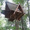 A Treehouse