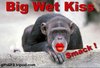 Big wet kiss