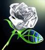 a rose 4 u