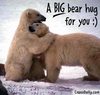 A bear hug for YOU :)