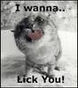 i wanna lick you