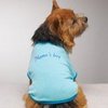 Agnes's doggy T-shirt