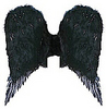 darK angel wings