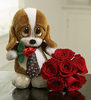 Puppy w/ Roses
