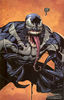 The Venom Symbiote