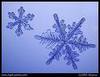 Snowflake Crystals