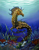 a seahorse called eFeNDi