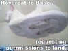 purrmission to land