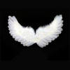 Selin's Wings