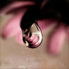 ~Drops of Happiness~
