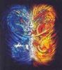 water VS. fire dragons