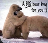 Big Bear Hug