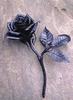 goth rose