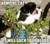 vampire joke 1