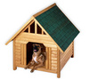 DOG HOUSE