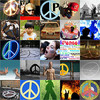 Peace Photos