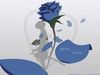 Blue Rose