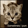 Sometimes i purr