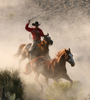 Ranch Hand Cowboy