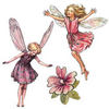 Little Flower Fairies