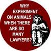 Stop animal testing!