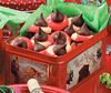 Box of Chocolate Kisses♥