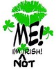 Kiss Me I'm Not Irish