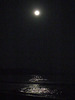 A Moon Light Bath at  beach
