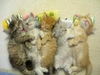Group hug! :)