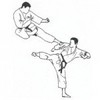 Flying Kick