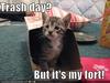 Sad kitty