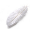 AN ANGEL FEATHER