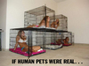 If Human Pets were real.