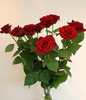 Bouquet of 10 roses