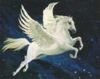 Ride on a pegasus