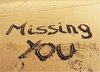 missing u 