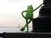 Kermit waiting for you 