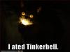 No More Tinkerbell