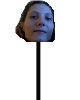 Tana On A Stick