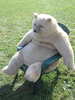 Fuzzy Bear + Chair