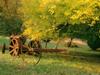 Farmland